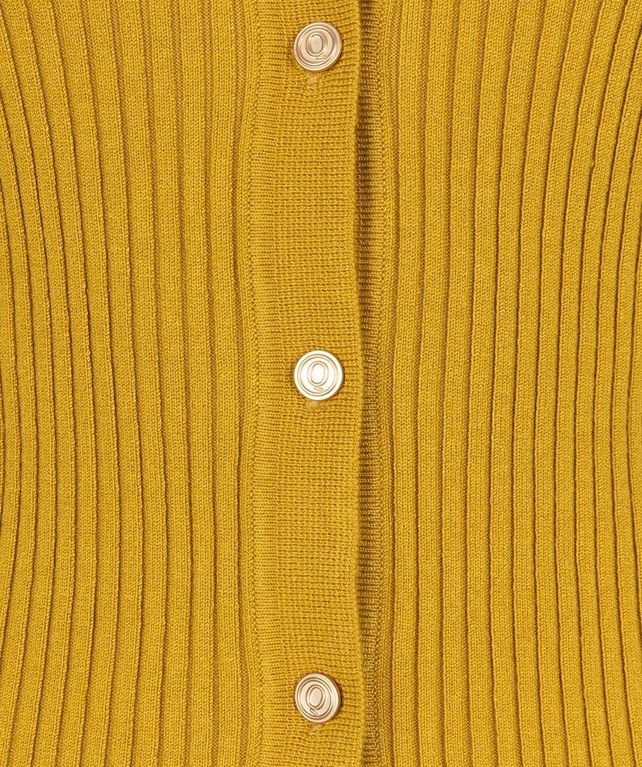 Button Up Sweater