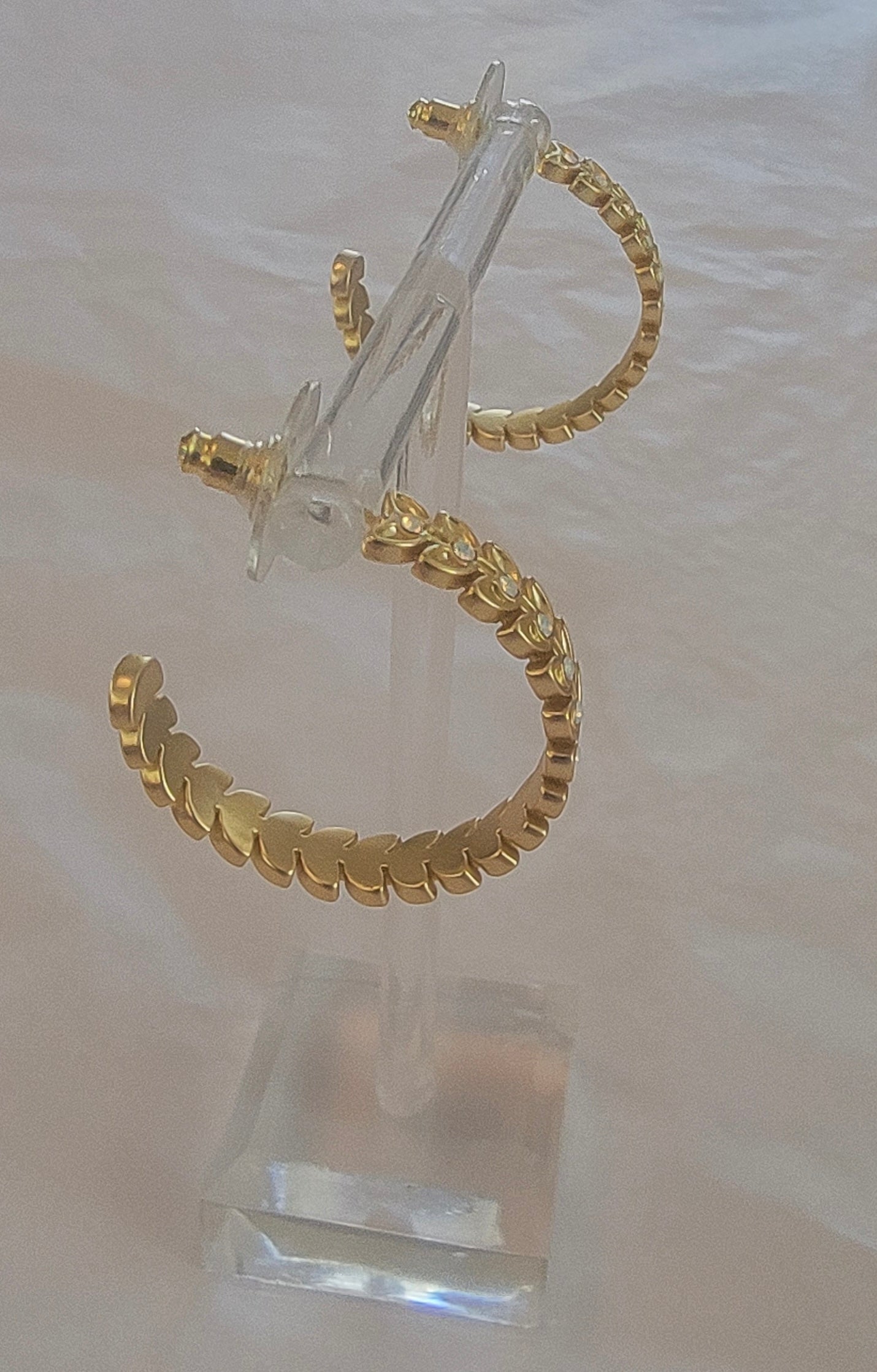 Parkwood Hoop Earrings